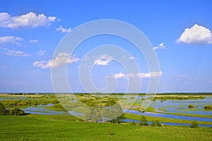 Panoramic view of wetlands covered with early spring green grass and woods in Biebrza River wildlife refuge in north-eastern