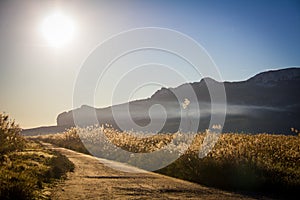 Panoramic view of the wetlands natural park La Marjal in Pego and Oliva, Spain