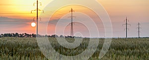 Panoramic view of wheat field and high-voltage power line against the background of orange sunset