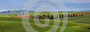 Panoramic view of wheat fields and barn on the rolling hills in Washington state