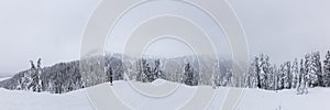 Panoramic View of the White Snow Covered Canadian Mountain Landscape