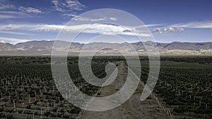 Panoramic view of the winery in Cafayate. Argentina