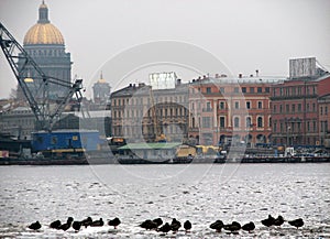 A panoramic view of winter in Saint Petersburg, Russia