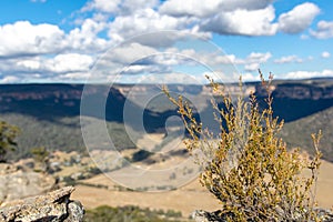 Panoramic view of Wolgan Valley along the Wolgan River in the Lithgow Region of New South Wales, Australia.