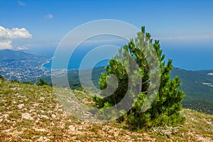 Panoramic view of Yalta city from Ai-Petri mountain.