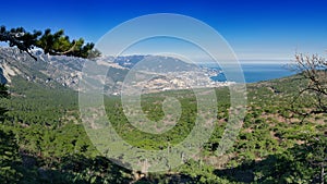 Panoramic view of Yalta city, pine woods and Black sea from the â€œSilver arborâ€ observatory