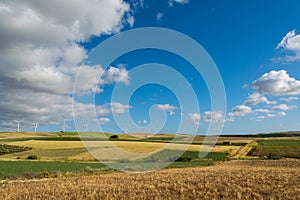 Panoramic view on yellow fields with ripe hard wheat, grano duro, Sicily, Italy photo