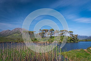 Panoramic views in Connemara National Park. County Galway, Ireland photo