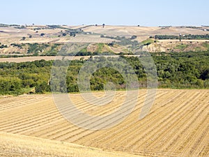 Panoramic views of the country in Apulia Italy