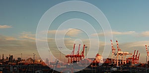 panoramic views of tall port shipping cranes standing tall loading a ship in port with shipping containers at Port Melbourne, with