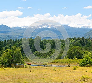 Panoramic Villarica National Park, in Conaripe, Panguipulli, with the Villarica volcano covered by the clouds. Los RÃÂ­os Region,