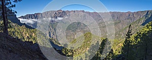 Panoramic volcanic landscape and lush pine tree forest, pinus canariensis view from Mirador de la Cumbrecita at national