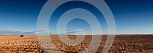 Panoramic wide banner landscape view near â€œOjos del Salarâ€ in Atacama Desert, Chile. Tire tracks contrasting the wilderness