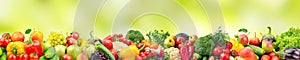 Panoramic wide photo healthy and useful vegetables and fruits is