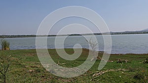 Panoramic wide view of polluted lake at rural villages