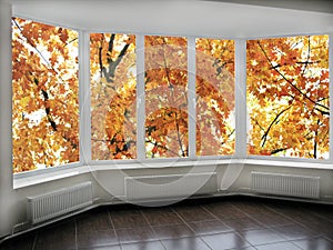 Panoramic windows with view to oaken autumnale forest