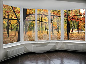 Panoramic windows with view to oaken autumnale grove