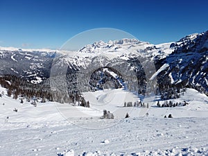 Panoramic Winter Landscape mountain Fir-Trees Fresh snow covered mountain slopes and pistes sunny day. Blue sky background