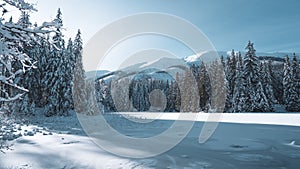 Panoramic winter landscape with pine forest and mountains, Low Tatras, Slovakia