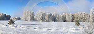Panoramic winter landscape on a sunny day In Siberia