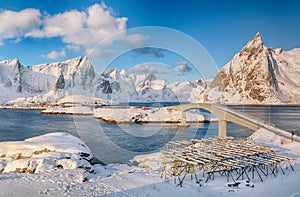 Panoramic winter view on  Reine and Sakrisoya villages  and bridge to Olenilsoya island