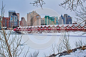 Winter Scenery By The Peace Bridge
