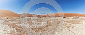 Panoramica of death vley in the desert of Namibia. Sossusvlei. photo