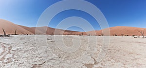Panoramica of death vley in the desert of Namibia. Sossusvlei. photo