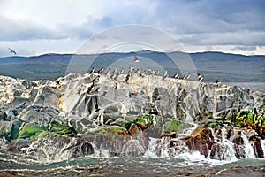 Panormaic view of a rock on the Beagle Channel in Ushuaia, Tierra del Fuego, on which cormorans rest, on a cold day with