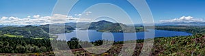 Panroama landscape of colorful summer heath with a view of Caragh Lake and the mountains of the Dingle Peninusla in County Kerry