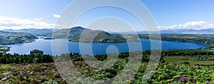 Panroama landscape of colorful summer heath with a view of Caragh Lake and the mountains of the Dingle Peninusla in County Kerry