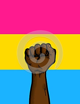 Pansexual Flag Racial Equality Rights