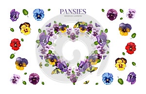 Pansies with heart-shaped greens. Watercolor illustration of flowers. Multi-colored viola with a butterfly. For design