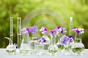 Pansy flowers in chemical glassware, table decoration in garden