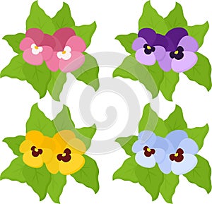 Pansy flowers or spring garden viola tricolor collection isolated on white background. Top view