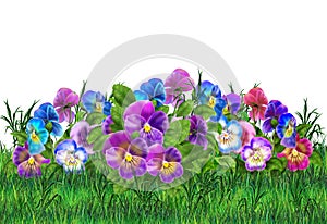 Pansy violet flowers and green grass watercolor landscape illustration floral wallpaper