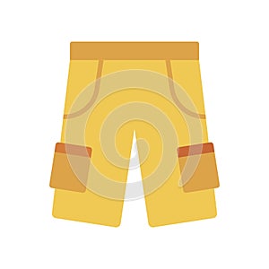 Pant flat vector  icon