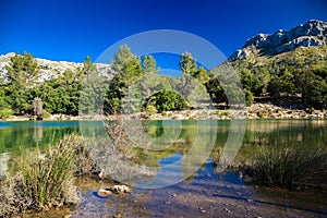 Panta de Gorg Blau, Mallorca