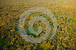   verde lagos a pequeno estanques árboles. vista aérea sobre el trópico Bosque, brasil. animales y plantas naturaleza 