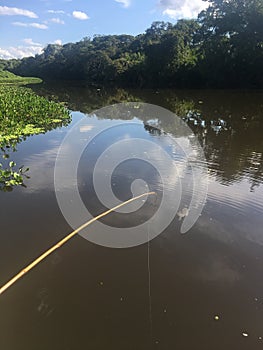 River at Pantanal Sul, Brazil photo