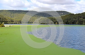 Pantano de Foix in the province of Barcelona photo