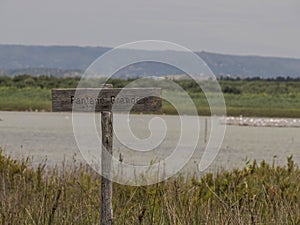 Pantano Grande sign Flamingos in the nature reserve oasis of Vendicari, Sicily photo