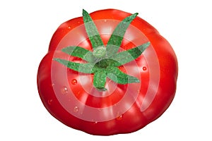 Pantano tomato, top view photo