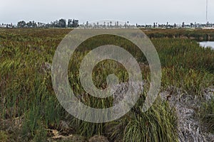 Pantanos de Villa View