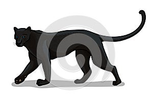 Panther big cat isolated in cartoon style. Educational zoology illustration, coloring book picture