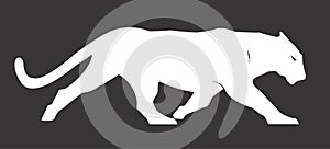 Panther Cat Vector Design Clipart photo