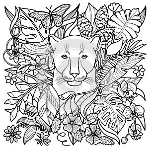 Panther Coloring Page