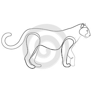 Panther continuous line drawing. Wildlife vector illustration.