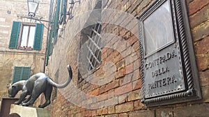 Panther Contrada in Siena - Italy photo