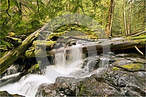 Panther Creek Falls